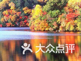探索伤官佩印的格局,大运流年对命局的影响的知识星球平台,解锁无限知识之门