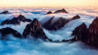 禅宗花园